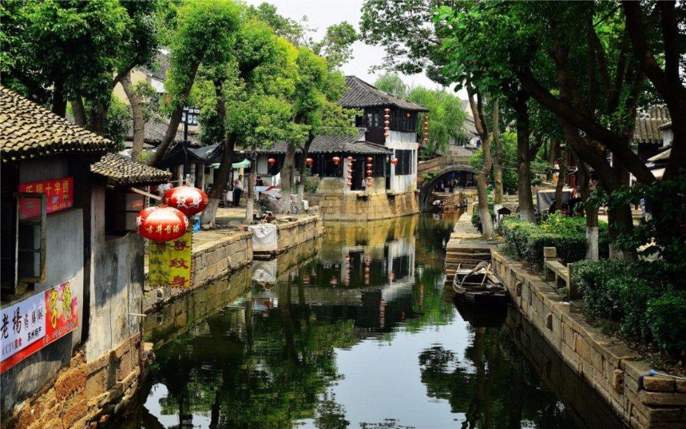 可爱小猫向上跳